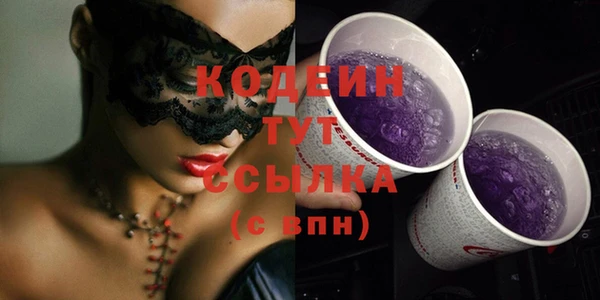 стаф Елизово