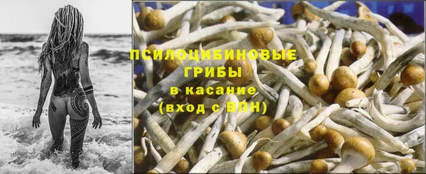 амф Елабуга