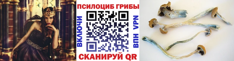Купить  Ардон  Галлюциногенные грибы MAGIC MUSHROOMS 